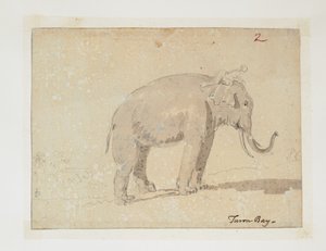 WD 961 f.2 od William Alexander