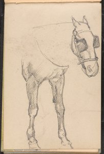 Náčrt koně s blinkry, cca 1879 od William Barnes Wollen