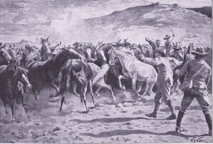 Zajetí koní v okrese Brandwater poblíž Fouriesburgu: zaokrouhlení nájezdu, ilustrace z Po Pretorii: Guerilla War, 1902 od William Barnes Wollen