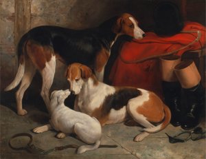 Pár foxhoundů s teriérem, majetek lorda Henryho Bentincka
