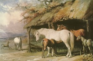 Klisny a hříbata, 19. století