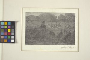 The Turkey Pasture (dřevorytina)