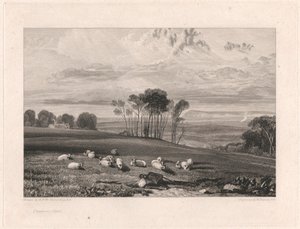 Crowhurst, Sussex od William Bernard Cooke