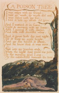 Songs of Innocence and of Experience, Plate 41, "A Poison Tree" (Bentley 49)