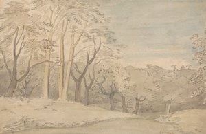 Dřevěná krajina od William Blake