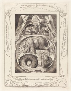 Behemoth a Leviathan, 1825. od William Blake