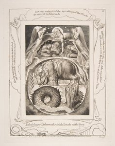 Behemoth a Leviathan, z ilustrací Knihy Job, 1825-26. od William Blake