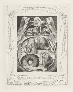 Hle, nyní Behemoth, kterého jsem s tebou udělal od William Blake
