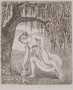 Našel jsem ho pod stromem, deska 3 z „Pro děti“. Brány ráje, 1793 od William Blake