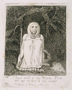 Řekl jsem červovi, jsi moje matka a moje sestra, deska 17 z „Pro děti“. Brány ráje, 1793 od William Blake
