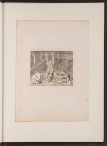 Jobovo zoufalství od William Blake