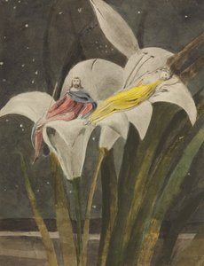 Oberon a Titanie na lilii, asi 1795 (tužka, pero, tuš, akvarel na papíře) od William Blake