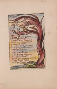 Písně nevinnosti a zkušeností, deska 20, květ (Bentley 11) od William Blake