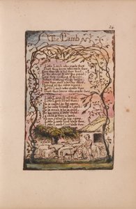 Songs of Innocence and of Experience, Plate 24, The Lamb (Bentley 8) od William Blake