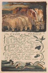 Písně nevinnosti a zkušeností, deska 36, Hrouda a oblázek (Bentley 32) od William Blake
