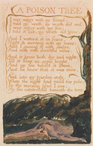 Písně nevinnosti a zkušeností, deska 41, jedovatý strom (Bentley 49) od William Blake
