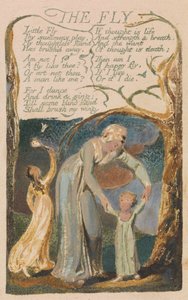 Songs of Innocence and of Experience, Plate 48, "The Fly" (Bentley 40) od William Blake