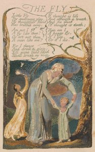 Songs of Innocence and of Experience, Plate 48, The Fly (Bentley 40) od William Blake