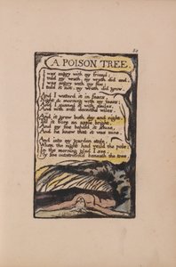 Písně nevinnosti a zkušeností, deska 50, jedovatý strom (Bentley 49) od William Blake