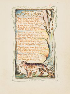 Songs of Innocence and of Experience: The Tyger, ca. 1825. od William Blake