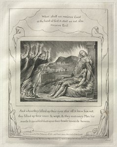 Kniha Job: č. 7, A když z dálky pozdvihli oči a nepoznali ho, pozvedli hlas a plakali od William Blake