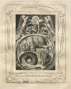 Kniha Job: Pl. 15, Hle, nyní Behemot, kterého jsem s tebou udělal od William Blake