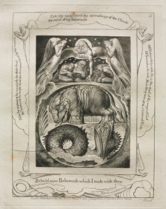 Kniha Job: Pl. 15, Hle, nyní Behemoth, kterého jsem s tebou udělal, 1825. od William Blake