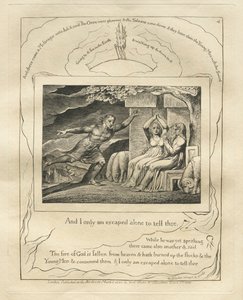 Kniha Job: Pl. 4, A já jsem utekl jen sám, abych ti to řekl od William Blake