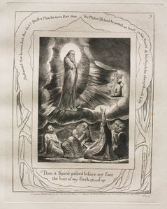 Kniha Job: Pl. 9, Tehdy mi před tváří prošel Duch / vstávaly vlasy z mého těla od William Blake