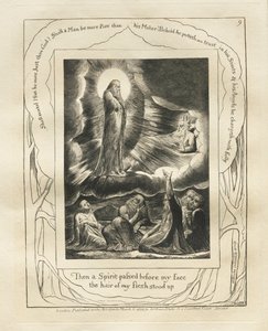 Kniha Job: Pl. 9, Tehdy před mou tváří prošel Duch / vstávaly vlasy z mého těla od William Blake