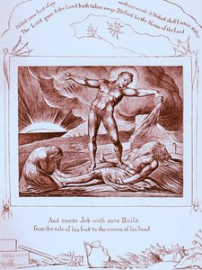 Ilustrace The Book of Job od Williama Blakea od William Blake