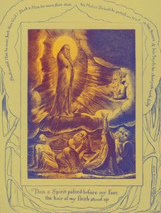 Ilustrace The Book of Job od Williama Blakea od William Blake