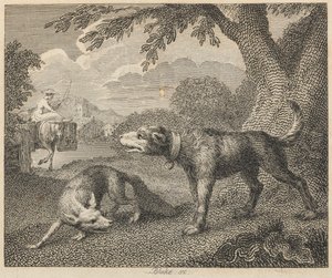 Pes a liška od William Blake