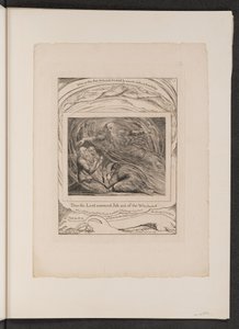 Lord Answering Job out of the Whirlwind, 1825. od William Blake