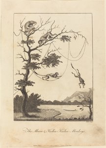 The Mecoo & Kisbee Kishee Monkeys, 1793. od William Blake