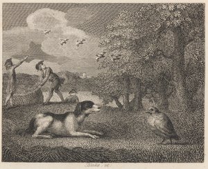 Stanový pes a koroptev od William Blake