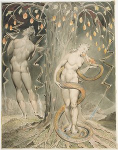 Pokušení a pád Evy (ilustrace k Miltonovu dílu „Ztracený ráj“) od William Blake