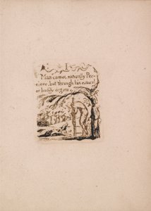 Neexistuje žádné přirozené náboženství, talíř 3, já člověk přirozeně nemůže. . . . (Bentley a4) od William Blake
