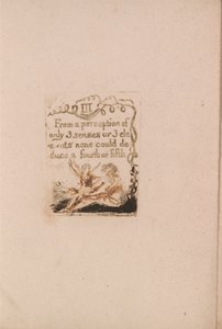 Neexistuje žádné přirozené náboženství, talíř 5, III Z vnímání. . . . (Bentley a6) od William Blake