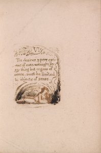 Neexistuje žádné přirozené náboženství, talíř 8, VI Touhy a vnímání. . . . (Bentley a9) od William Blake