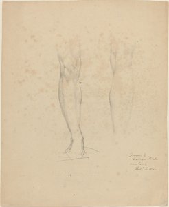 Dvě nohy od William Blake