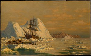  od William Bradford