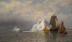  od William Bradford