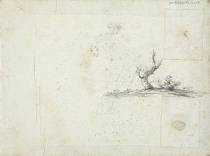 vnitřní přední strana obálky: Sketch of a Tree (obrácená)