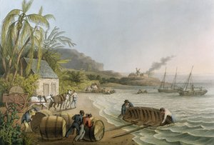 Carting and Putting Sugar Hogsheads on Board“, deska X z „Ten Views in the Island of Antigua“, vydané W. Clarkem, Londýn, 1823 (barevná akvatinta)