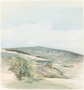 Heath v Sussexu