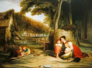 Odvážný Robin od William Collins