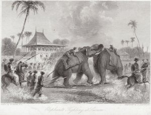 Sloni bojující u Lucknow od William Daniell