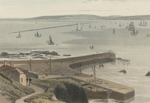 Nábřeží u Straddon Point poblíž Plymouthu od William Daniell