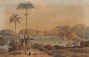 Pohled na město St. George a Richmond Heights na ostrově Grenada, pořízený ze zálivu podplukovníkem Wilsonem, 1819 od William Daniell